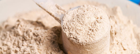 WHEY PROTEIN – PROTEIN 101